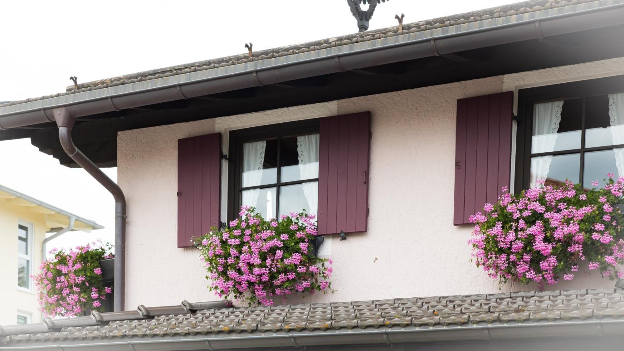 Gaestehaus Sattlerhof Bernau am Chiemsee Exterior photo